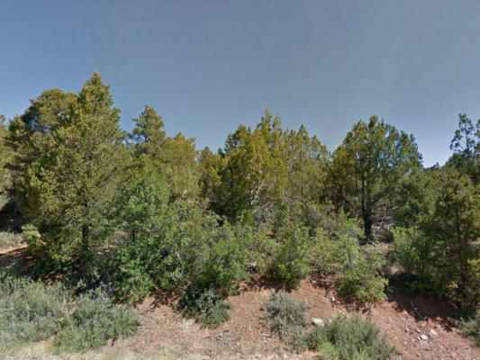 LOT 25 ZION HUNTING EST BLK 2, DUCK CREEK, UT 84762 - Image 1