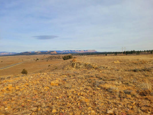 68 ACRES COMMERCIAL LAND - JOHNS VALLEY RD, BRYCE, UT 84764 - Image 1